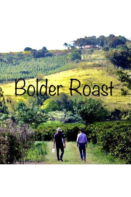 Bold Brazil Peaberry