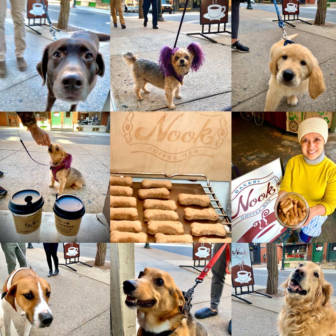 Dog treat places deals